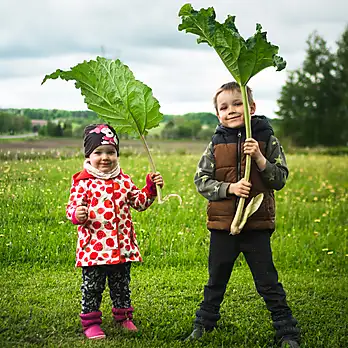 Aktivitāte "Ģimenes ēst gatavošanas pasākums" projektā "Vienoti kopā ģimenes lokā"