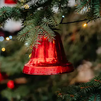 Ziemas saulgriežu ieskandināšana 2024